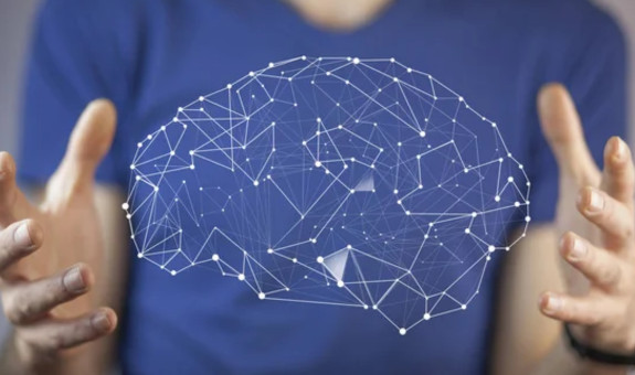 Actividad práctica: Laboratorio de neurociencia